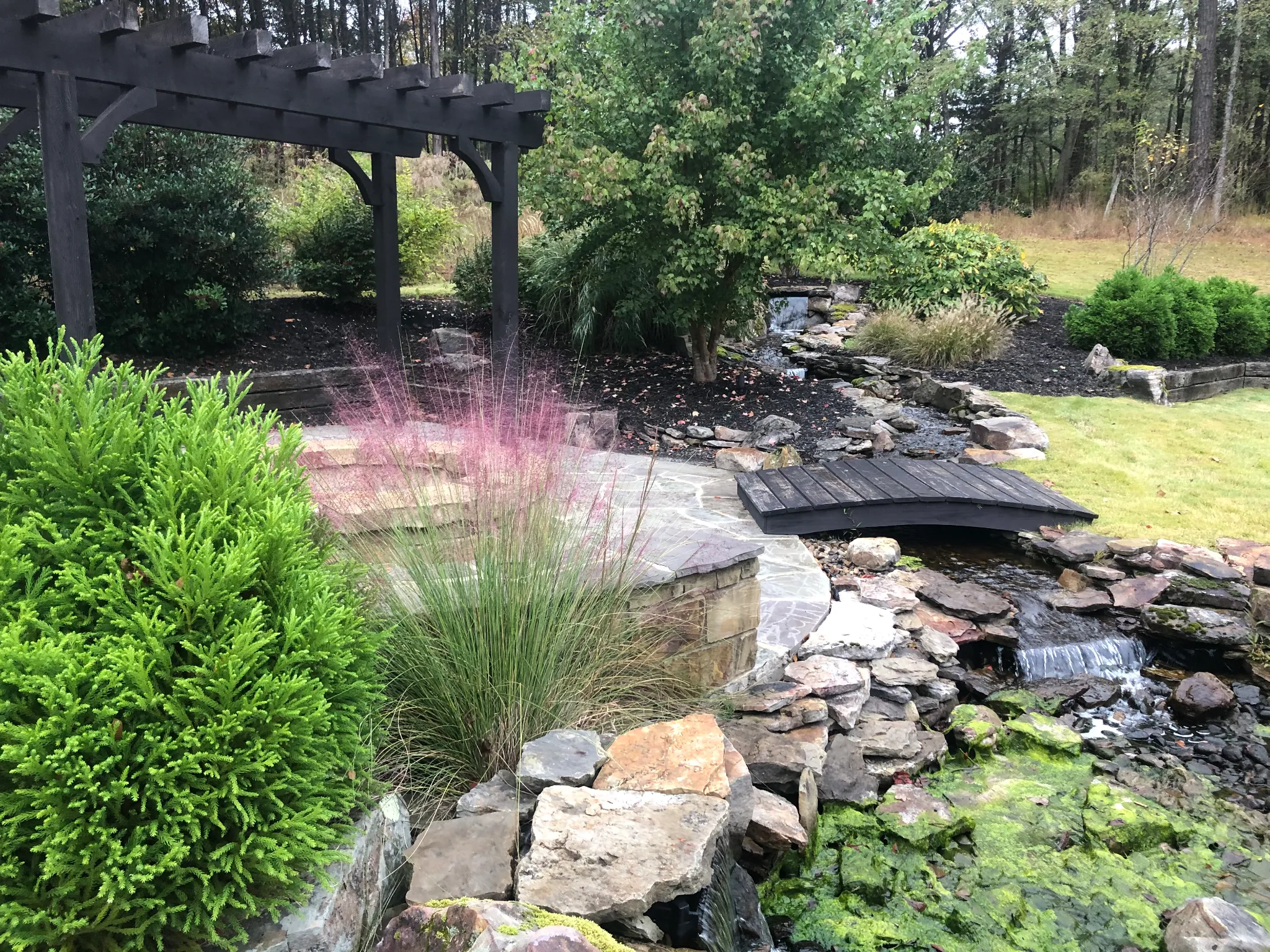 bridge-landscape1.webp